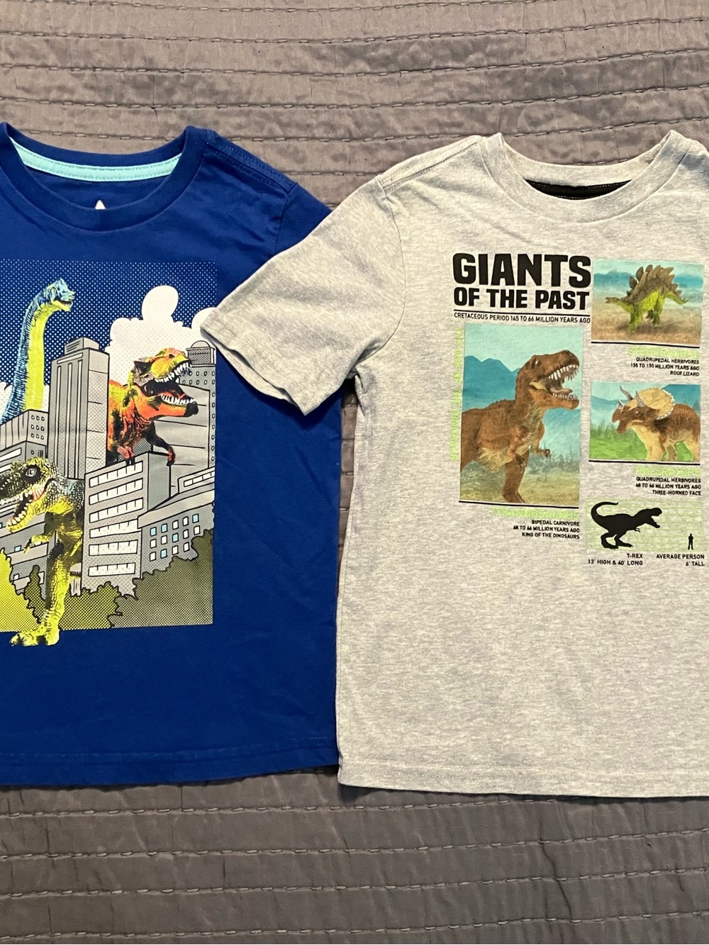 Giants of the Past Gray Dinosaur Tee for Kids by